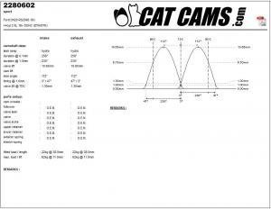 catcams_2280602.jpg Catcams camshaft Ford dh20 rs2000 16v
