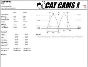 catcams_2280603.jpg Catcams camshaft Ford dh20 rs2000 16v