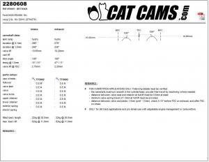 catcams_2280608.jpg Catcams camshaft Ford dh20 rs2000 16v