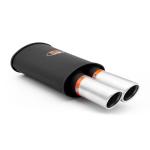 RM Motors Sports silencer RM209 with two satin tips KSZS76/76DP